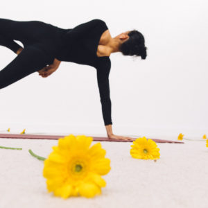 Cours Ashtanga Yoga Lille Saint Maurice Pellevoisin