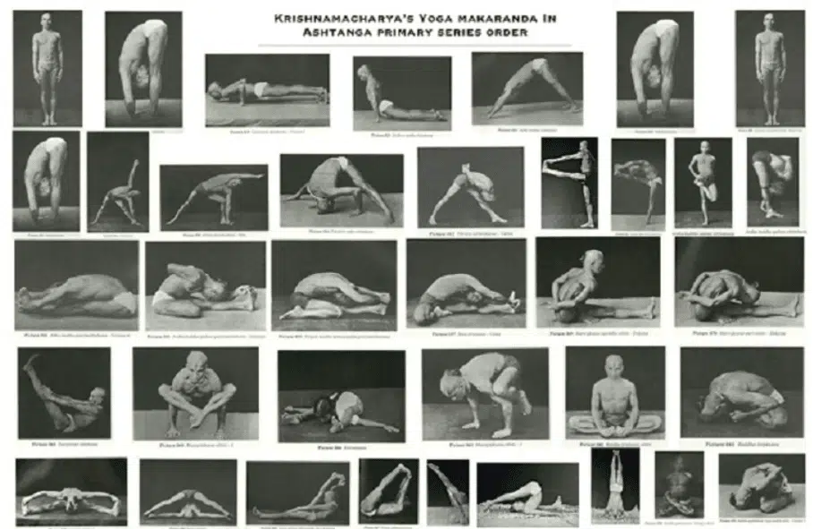 Ashtanga Yoga Lille Mysore Style