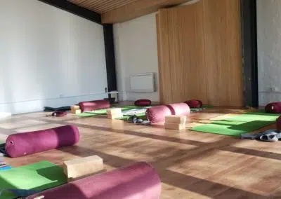 studio-yoga-lille-59-yoga-shala-Lille-centre-de-yoga-Lille-Metropole_5